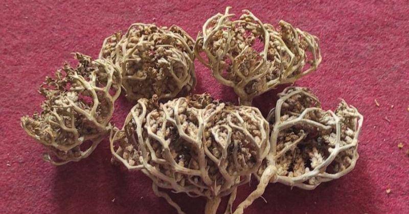 Shopee.com/IBS.ILHAQBOOKSTORE